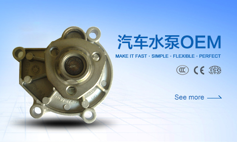 汽车水泵OEM